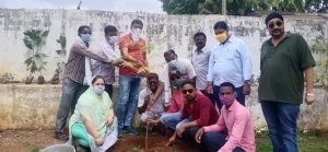 नगर पंचायत परिसर में पौधारोपण किया गया