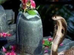 धन-संपदा, समृद्धि की प्राप्ति के लिए करें पूजा, बन रहे विशेष संयोग
