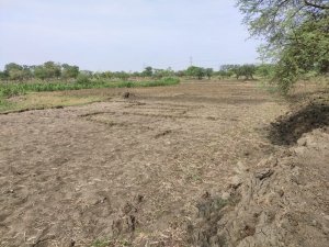 शासकीय तालाब को पाट कर बना दिया था खेत अब गहरी करण मे डाल रहे है बाधा