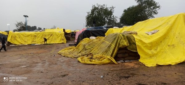 बारिश से मंडियों में पड़े धान को नुकसान, समितियों की चिंताएं बड़ी