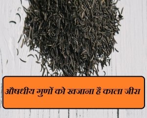 8 Health Benefits पढ़कर हैरान रह जाएंगे