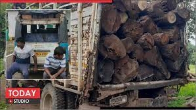 वन विभाग की कार्रवाई में अवैध लकड़ियां और गाड़ी जप्त