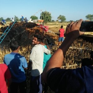 मिंजाई कर खेत में रखें ,फसल में शरारती तत्वों ने लगाई आग