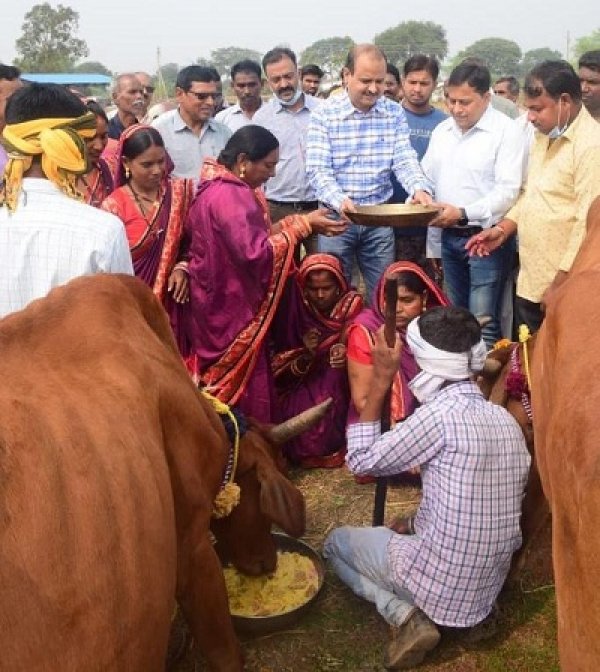 जिले के सभी विकासखंड के गौठानों में धूमधाम से मनाया गया गोवर्धन पूजा का त्यौहार