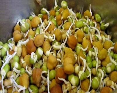 बारिश में अंकुरित अनाज से रहें दूर वरना सेहत को होगा नुकसान