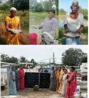 साय सरकार की योजनाओं से सशक्त हो रहीं ग्रामीण महिलाएं, रोजगार से आत्मनिर्भरता तक बढ़ते कदम