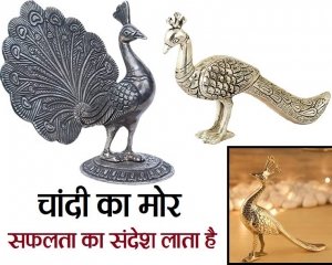 घर में चांदी का मोर रखने से चमक जाएगी किस्मत, दिलचस्प जानकारी