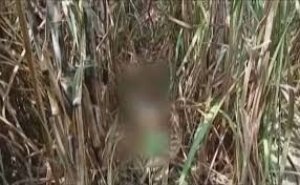 लखीमपुर खीरी में तीन साल की बच्ची के रेप और हत्या का आरोपी पुलिस एनकाउंटर के बाद गिरफ्तार