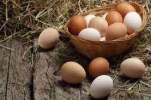 सर्दियों में कौन सा अंडा खाएं ब्राउन या व्हाइट? जानें क्या है दोनों में फर्क