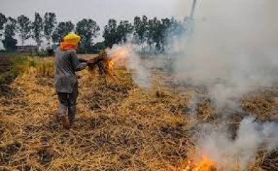 &#039;पराली की समस्या से निपटने के लिए राज्यों को बायो डिकंपोजर डालने का दें निर्देश&#039; : केजरीवाल का केंद्र से आग्रह