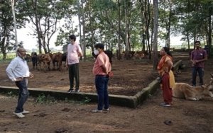 -गौठान का होगा कायाकल्प,मल्टीएक्टिविटी सेंटर बनेगा,निगमायुक्त ने किया निरीक्षण